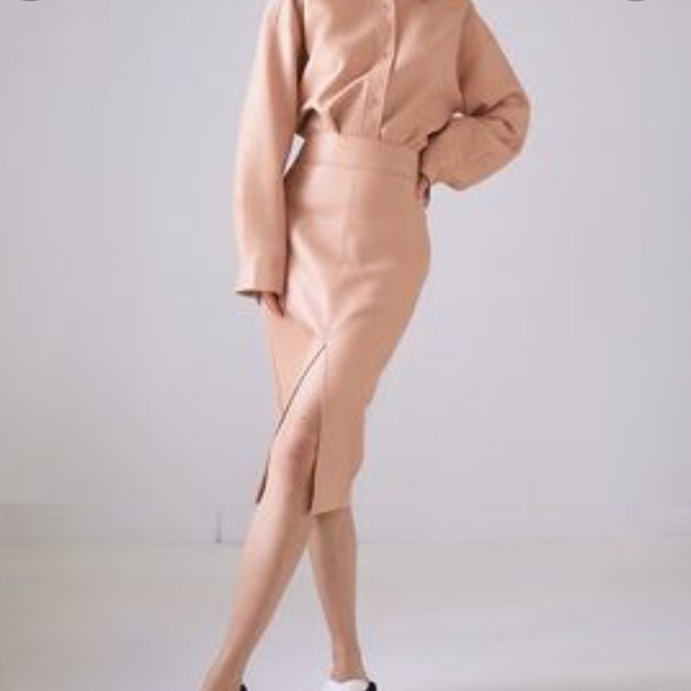 Aritzia Babaton Pegu Leather Skirt Tuscany Rose Size 2